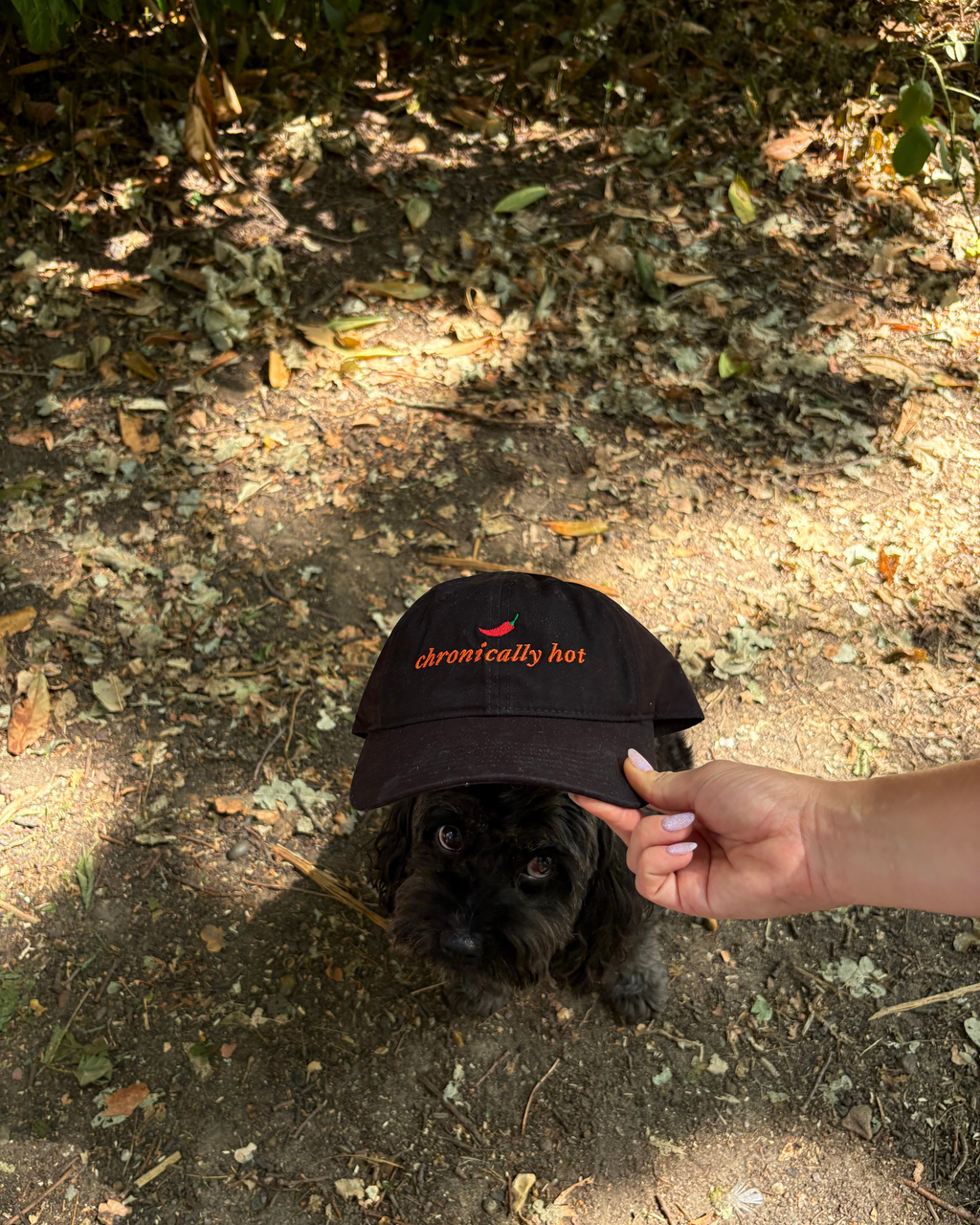 Chronically Hot Cap