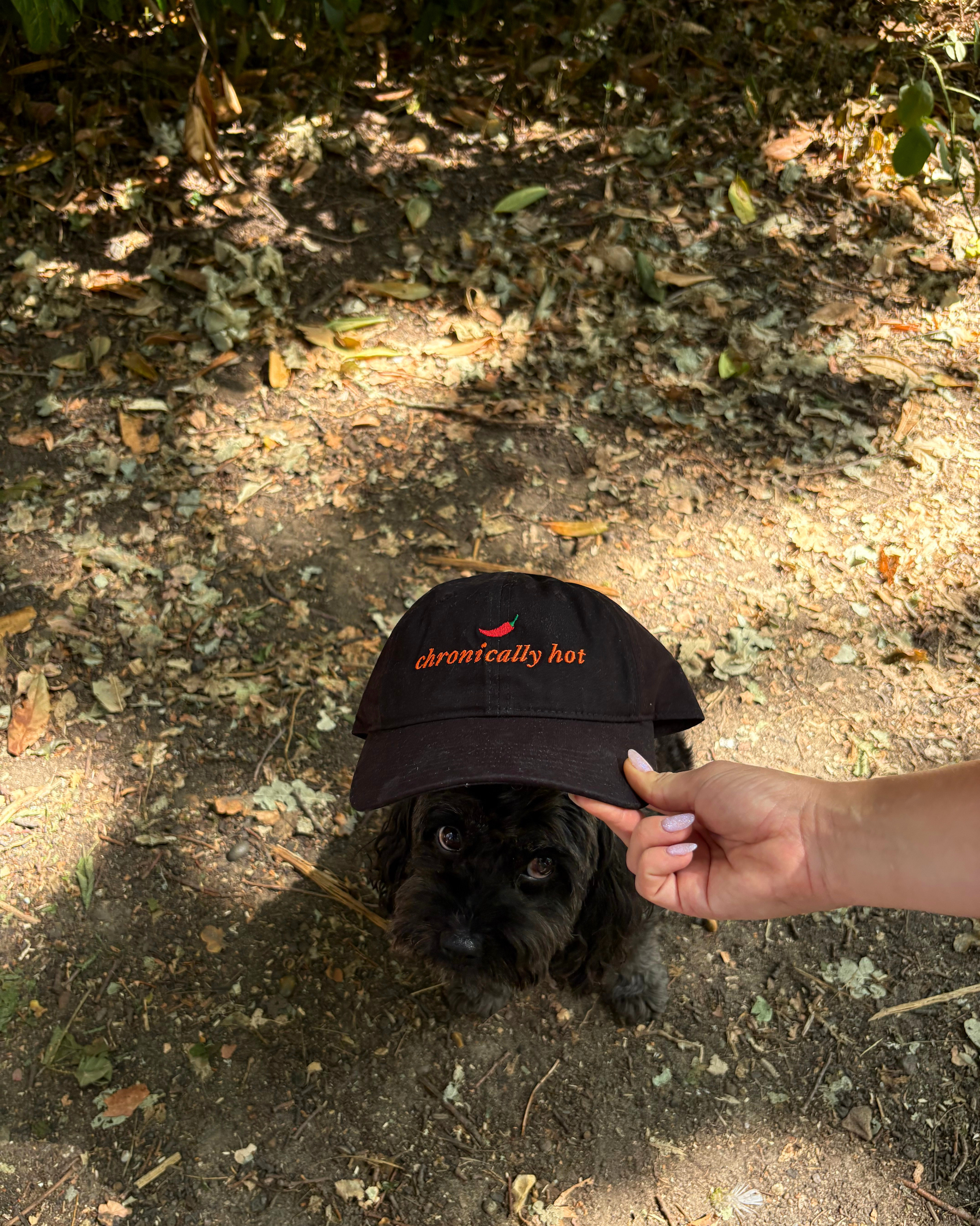 Chronically Hot Cap